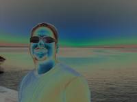 polorized dave